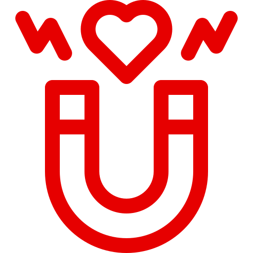 attraction (1)