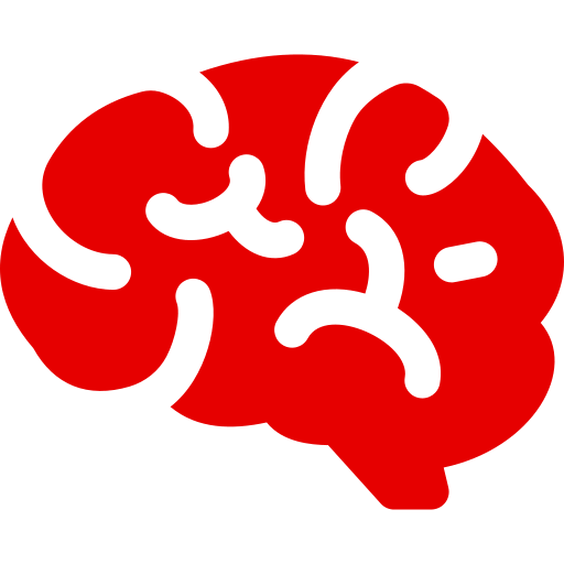 brain (2)